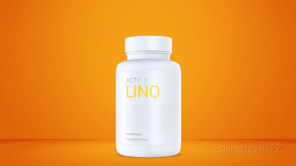 LINQ Beneficios - Israel Coach en Salud y Bienestar