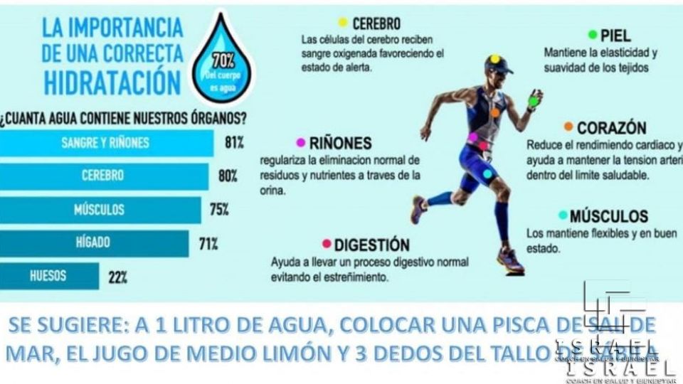 SE SUGIERE COLOCAR : A 1 LITRO DE AGUA, UNA PISCA DE SAL DE MAR, EL JUGO DE MEDIO LIMÓN Y 3 DEDOS DEL TALLO DE SÁBILA, esto para devolver los sales, los minerales, los iones, etc., que le fueron retirados durante el proceso de purificación del agua.  Beneficios de una correcta hidratación  – Alivia la fatiga. Recuerda que el organismo elimina toxinas y productos de desecho que éste necesita una correcta hidratación.  – Evita el dolor de cabeza y las migrañas. En la mayoría de los casos, la razón principal de los dolores de cabeza y migrañas es la deshidratación.  – Ayuda en la digestión y evita el estreñimiento. Beber agua en ayunas es ayudar a que el sistema digestivo funcione correctamente, previniendo el estreñimiento y mejorando la digestión, lo que a su vez repercute en la prevención de enfermedades y en una mejor calidad de vida.  – Ayuda a mantener la belleza de la piel. Beneficios en la reposición de los tejidos de la piel con las cicatrices, acné, arrugas y otros síntomas de envejecimiento.  – La termorregulación es otro de los beneficios de tomar agua. Mantener nuestra temperatura corporal bien regulada nos hará sentir con más energía y evitar los calambres  – Reduce el riesgo de cáncer. Una hidratación adecuada repercute en el correcto funcionamiento de los riñones y del sistema inmunológico y digestivo. Evitando así cáncer de vejiga, de estómago y riñones, incluso de colon  – Mejora el sistema inmunológico. Tomar agua permiten al organismo luchar contra enfermedades como la gripe y contra los ataques al corazón, según la OMS. También contribuye de forma importante frente a otros problemas de salud como el reumatismo, la artritis, los cálculos renales, etc.  – Reduce el riesgo de problemas cardiacos. En este caso se sugiere 8 vasos de agua al día.  – Resuelve el mal aliento. El mal aliento es una clara señal de que el cuerpo necesita más agua. La saliva ayuda a tu boca a liberarse de bacterias y mantener la lengua hidratada. Por esto, cada vez que tengamos mal aliento, lo primero que debemos hacer es beber mucha agua. Además, la secreción de saliva es un protector natural de los dientes, por lo que tomar agua también contribuye a reducir las enfermedades dentales.  – El más controvertido de los beneficios de tomar agua: Es que ayuda a eliminar los subproductos de la grasa. Al beber agua, el estómago se llena, lo que nos hace perder un poco el apetito. El agua no contiene calorías, grasa, carbohidratos ni azúcar, y es un gran reemplazo de las bebidas con alto contenido calórico. Además, beber agua acelera el metabolismo y eso ayuda al gasto de energía mediante la termogénesis. Beber agua también ayuda a metabolizar mejor la grasa. Si dejas de beber agua, el cuerpo se pone alerta y deja de expulsar líquidos a través de la orina.    ¿Qué le pasa a nuestro cuerpo cuando no bebemos agua?  El principal efecto es la deshidratación. Pero a nivel orgánico, el hipotálamo del cerebro libera una hormona antidiurética que provoca acuaporinas en nuestros riñones. Se trata de una proteína que regula el agua que llega a la sangre. Cuando no bebemos agua lo que ocurre es que esta proteína se retiene en nuestros riñones. Uno de los primeros síntomas que nos alertan de que nuestro cuerpo se está deshidratando es el color oscuro de nuestra orina. Pero no es el único. Cuando empezamos a deshidratarnos, comenzamos también a tener dolor de cabeza, calambres musculares, cansancio y mucha sed. También sufrimos cambios de humor y disminuyen nuestras funciones cognitivas como pérdida de atención o falta de memoria.